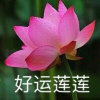九游版全民来打怪手游下载