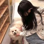 肉弹冲冲冲游戏